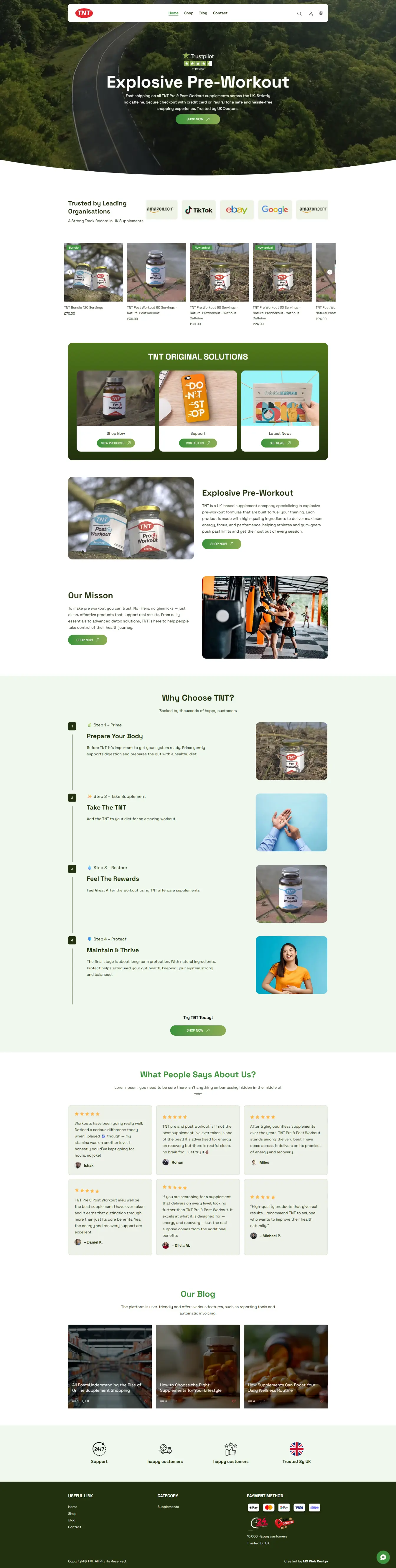 TNT Energy — website by Websylime